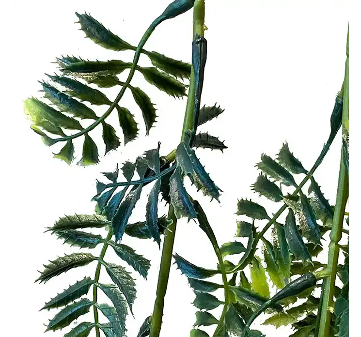 Mimosa hænger kunstig plante af plast i grøn 80cm closeup