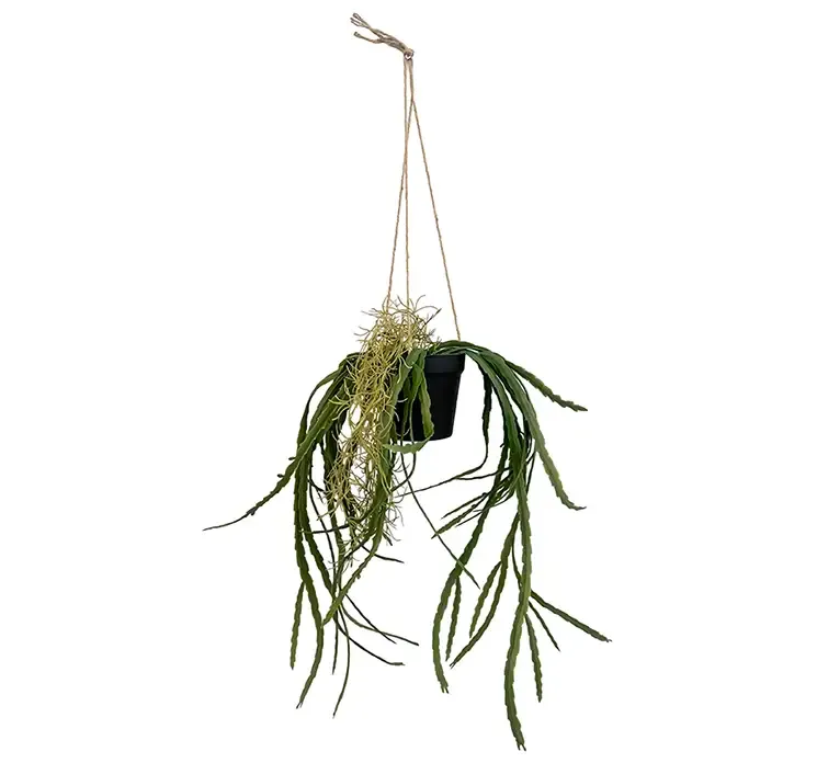 Kunstig mistelten plante i potte med ophæng af plast og jute snor