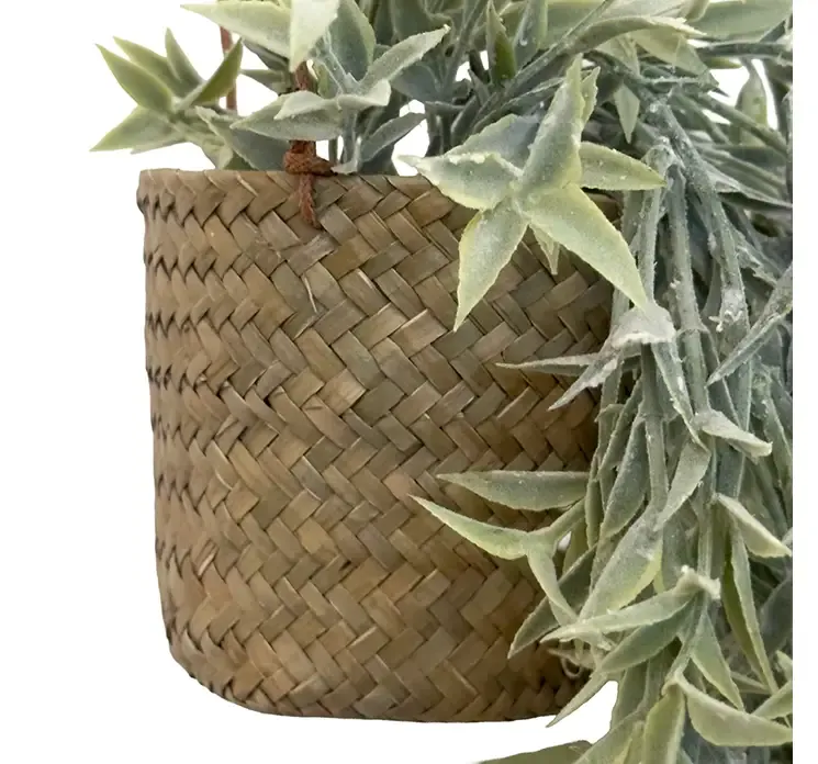 Kunstig eukalyptus hængeplante af plast i flettet kurv closeup af kurv