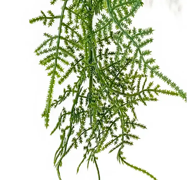 Kunstig slørasparges hænger af plast i grøn