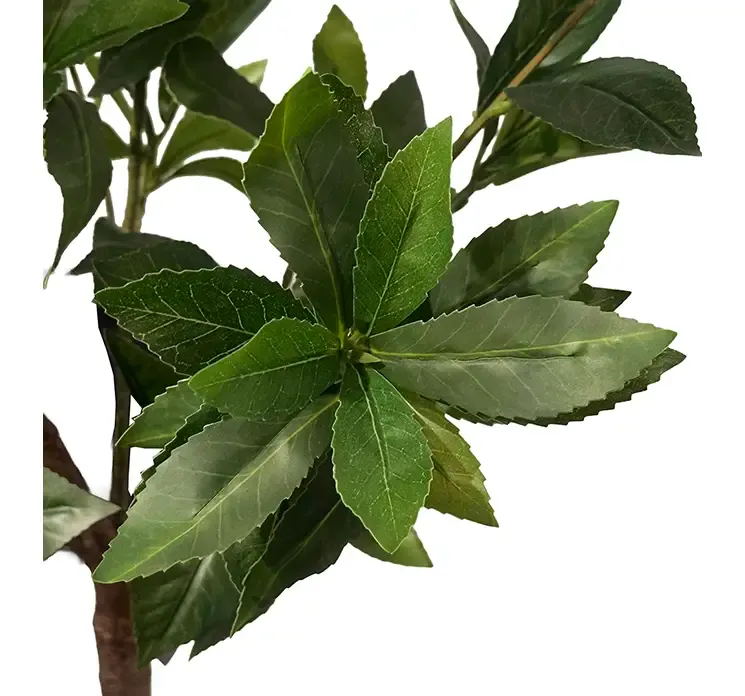 Kunstig japansk pieris plante i sort potte af plast closeup af blade