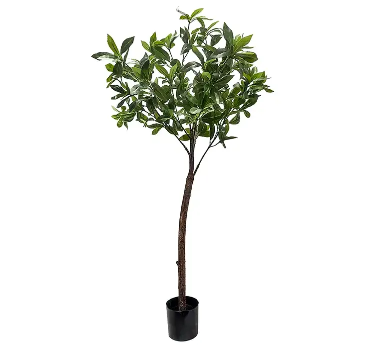 Kunstig japansk pieris plante i sort potte af plast