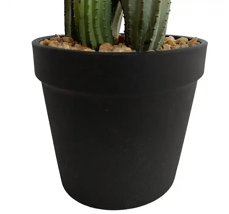 Kaktus i sort potte af plast, kunstig plante closeup af potte