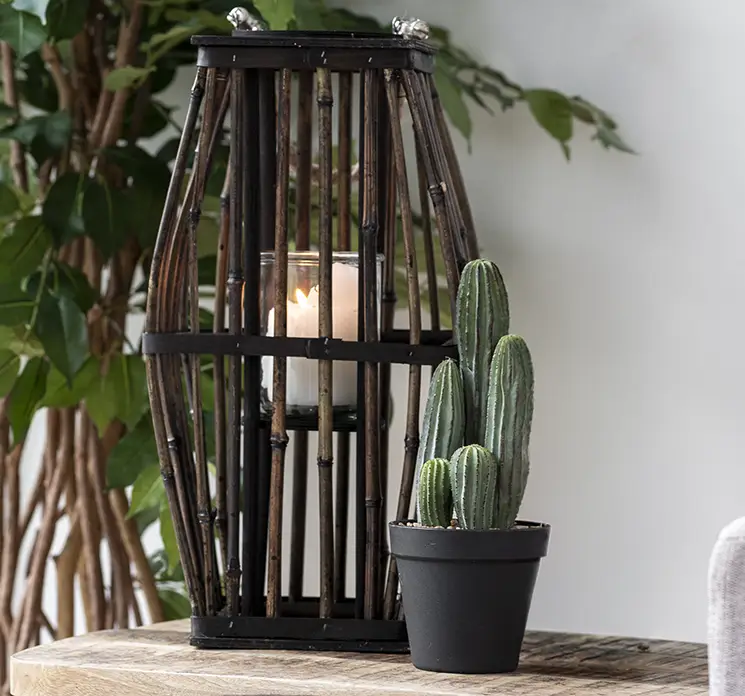 Kaktus i sort potte af plast, kunstig plante vist i stuemiljø på bord