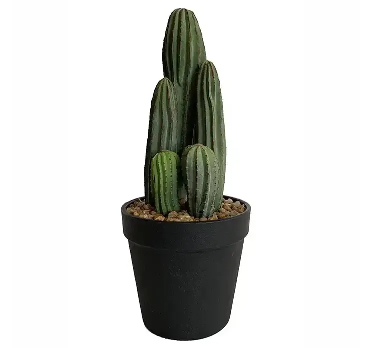 Kaktus i sort potte af plast, kunstig plante