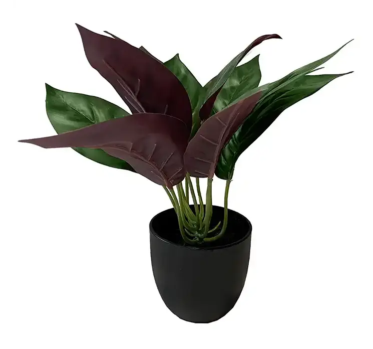 Calathea kunstig plante i sort potte af plast 25cm