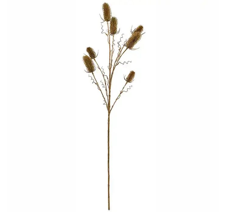 Kartebolle også kaldet dipsacus sativus kunstig gren af plast i grøn 105cm