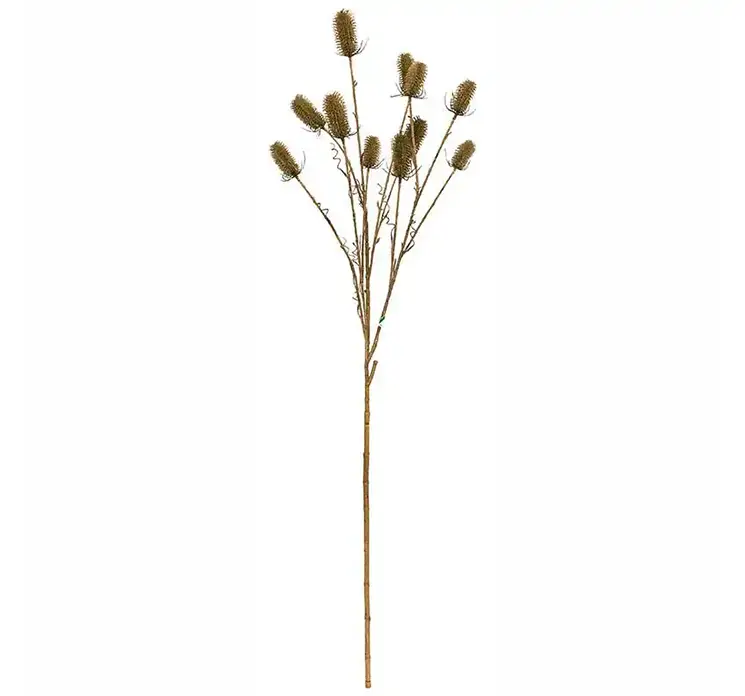 Kartebolle også kaldet dipsacus sativus kunstig gren af plast i grøn 150cm