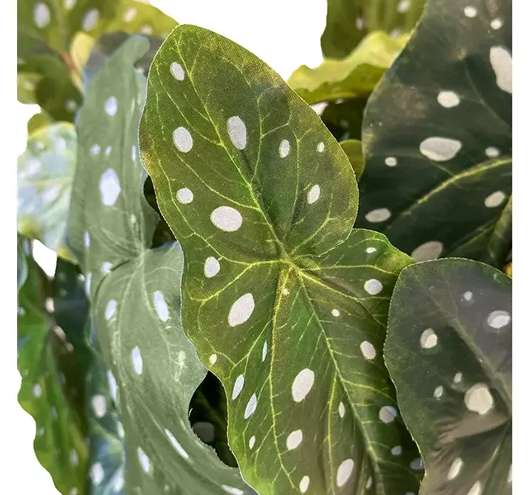 Kunstig kongebegonia plante af plast i krukke af ler closeup af blade