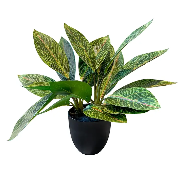 Kroton kunstig plante af plast i multi farver i sort potte 38cm