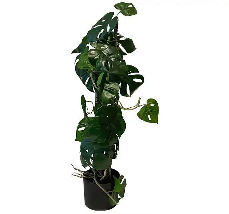 Kunstig monstera plante opbundet i potte af plast