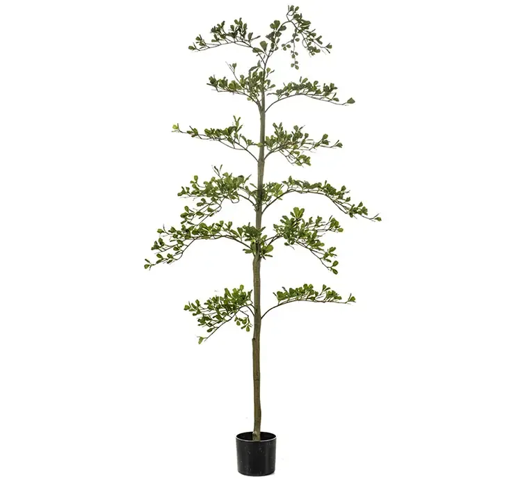 Oliven Bucida kunstig træ i sort potte af plast i grøn 175cm