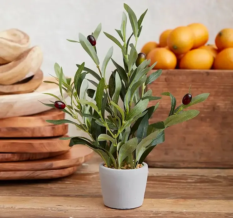 Kunstig oliven plante af plast i hvid krukke vist i køkkenmiljø