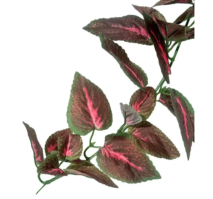 Kunstig paletblad også kaldet cloeus hængeplante i grøn og pink af plast closeup