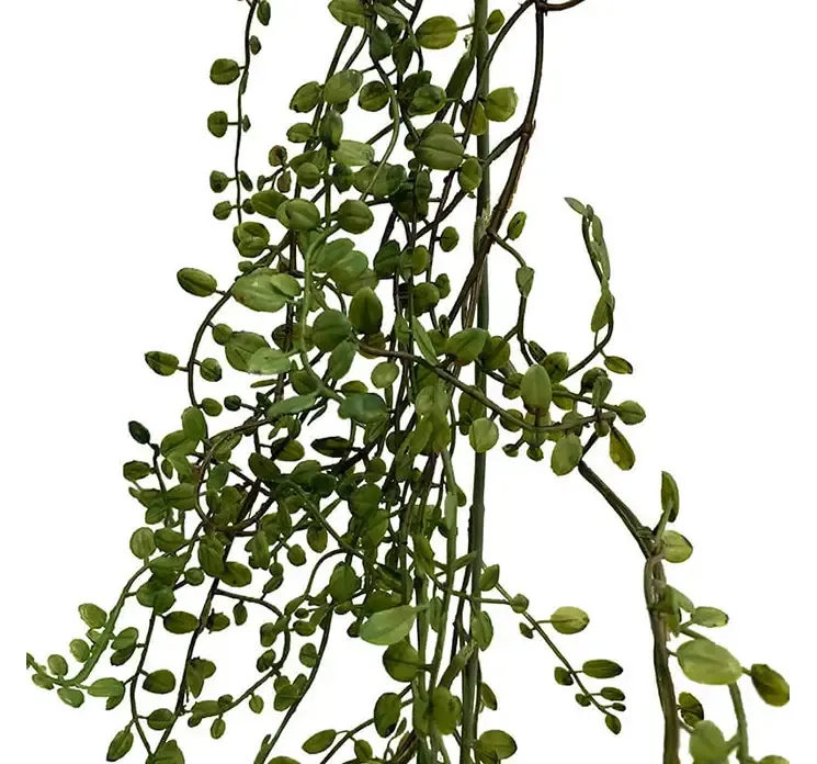 Perle hænger ranke i grøn af plast kunstig plante closeup