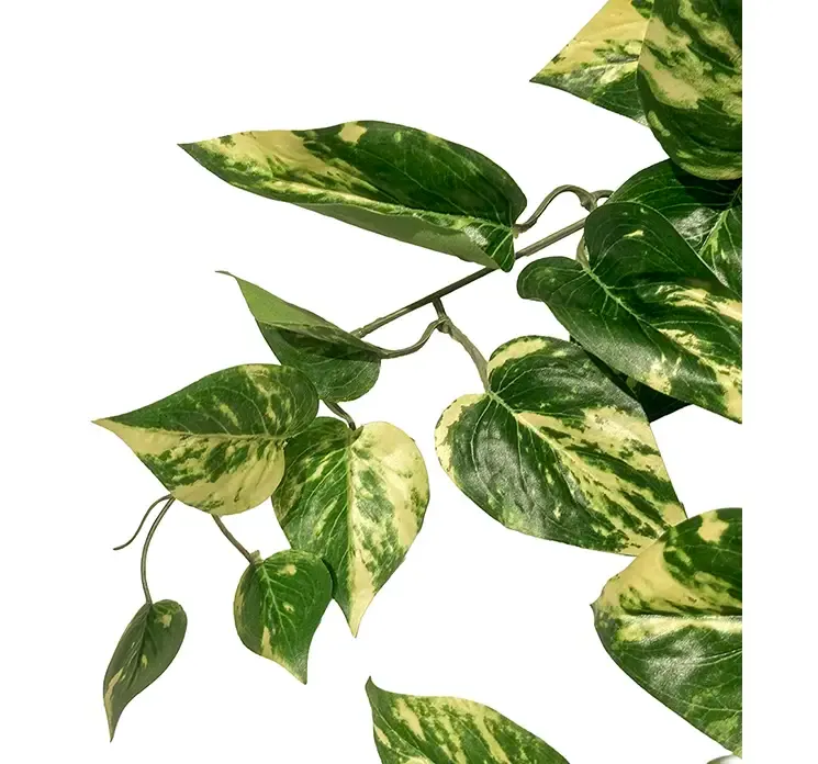 Kunstig philodendron hængeplante i grøn af plast closeup