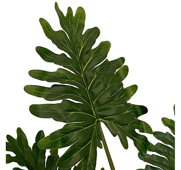 Philodendron xanadu kunstig plante i grøn af plast i sort potte closeup