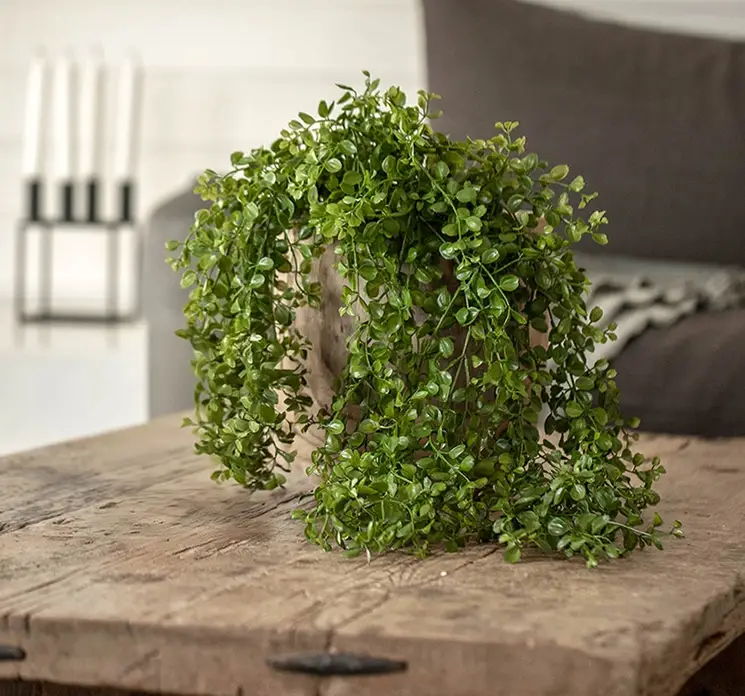 Pilea hænger kunstig plante af plast i grøn vist på et træbord i trævase i stuemiljø