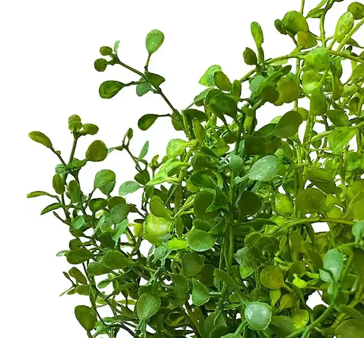 Kunstig pilea plante på stilk af plast i grøn closeup