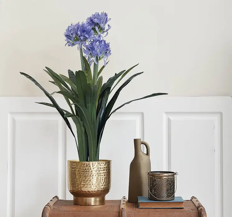 Skærmlilje også kaldet agapanthus kunstig plante sat i guldfarvet krukke i stuemiljø