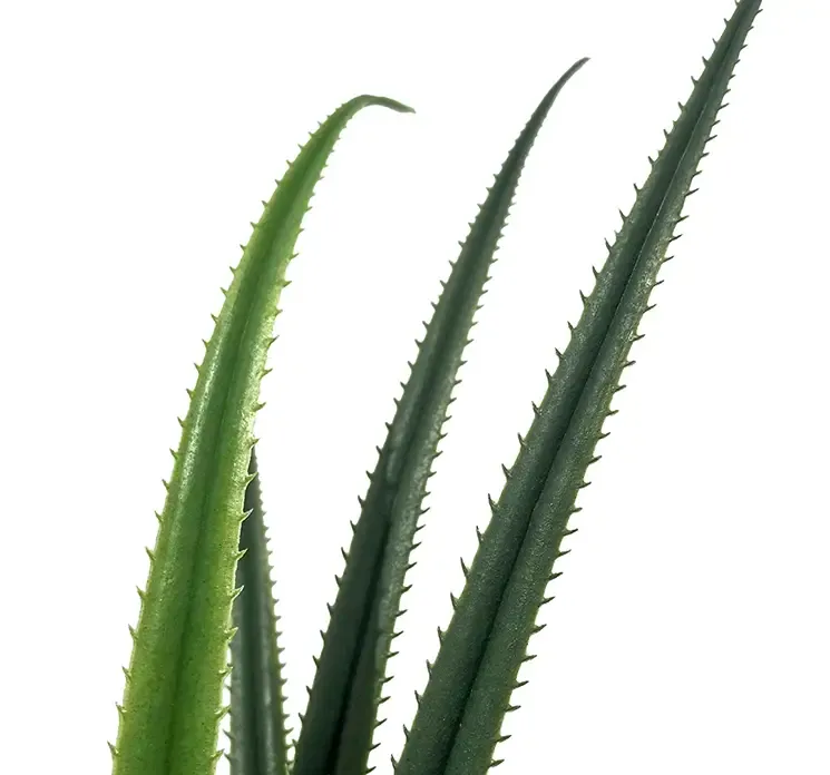 Kunstig skruepalme også kaldet pandanus af plast i sort potte closeup af blade