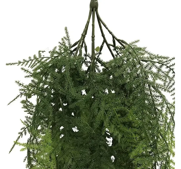 Kunstig slørfigen asparges hængeplante af plast closeup