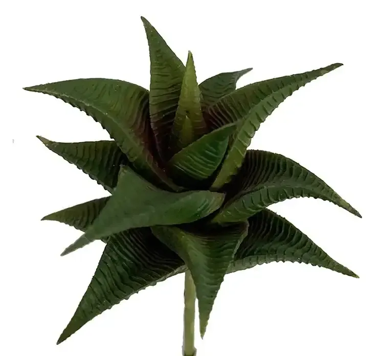 Stenurt plante Aloe Vera i grøn af plast kunstig plante closeup