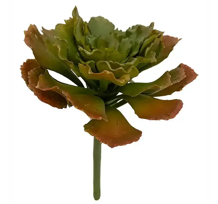 Kunstig plante sukkulent også kaldet echeveria af plast i grøn og orange