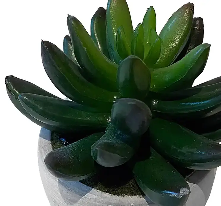 Stenurt kunstig plante af plast i grøn i cement krukke 11cm closeup