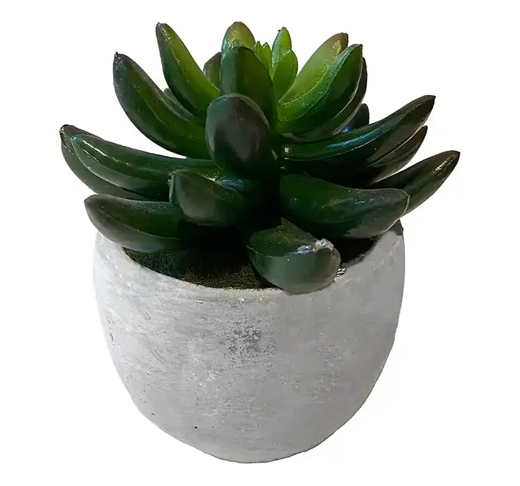Stenurt kunstig plante af plast i grøn i cement krukke 11cm