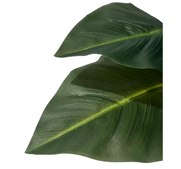 Kunstig strelitzia plante i sort potte closeup af blade