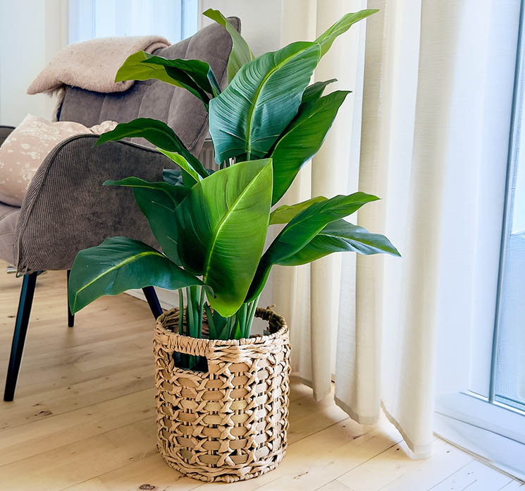 Strelitzia plante af plast i grøn sat i en flettet kurv, kunstig plante vist i stue miljø