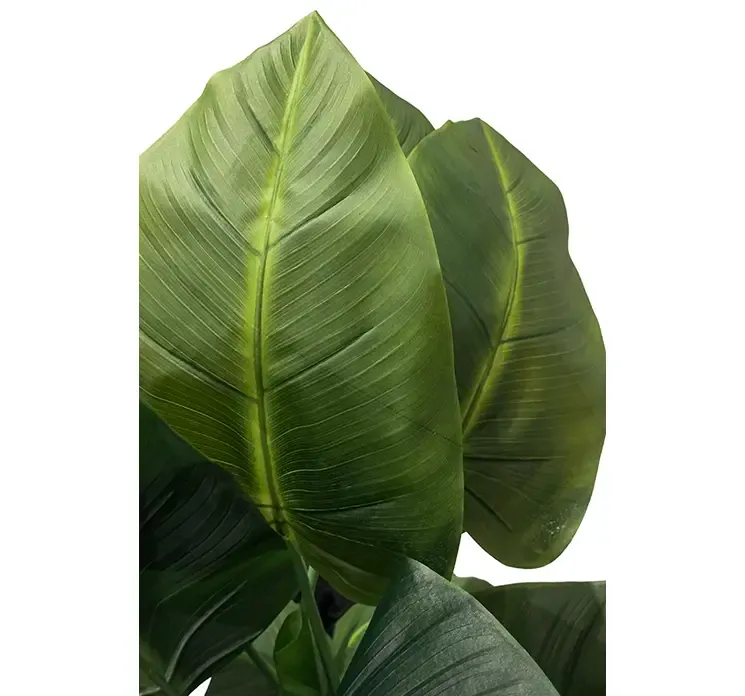 Kunstig strelitzia plante i sort potte af plast closeup af blade