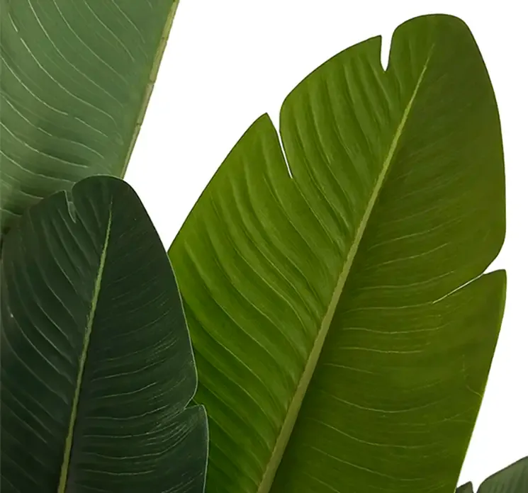 Strelitzia kunstig plante i sort potte af plast 160cm closeup