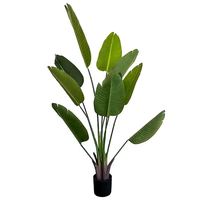Strelitzia kunstig plante i sort potte af plast 160cm