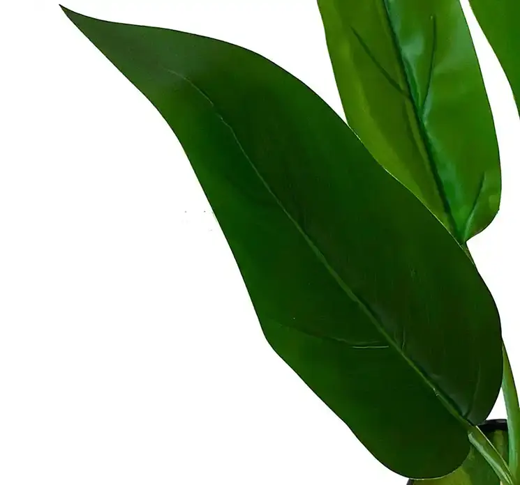 Strelitzia kunstig plante i sort potte af plast uv-beskyttet i grøn 60cm closeup