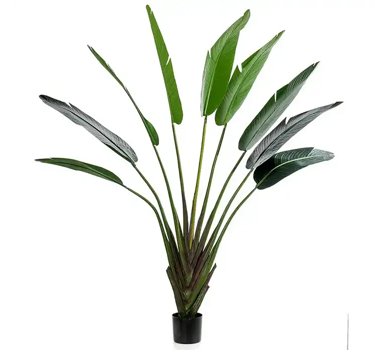 Strelitzia kunstig plante af plast i grøn sat i sort potte 180cm