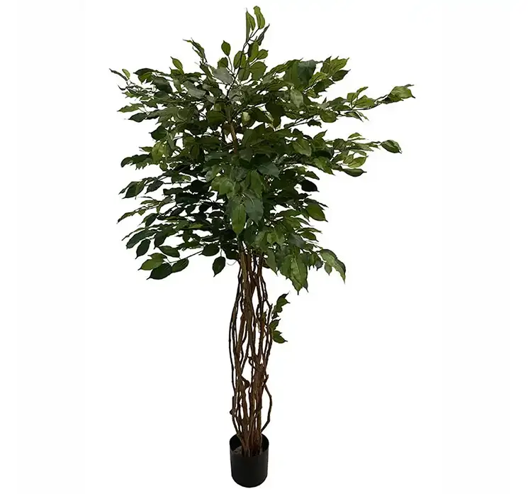 Stuebirk kunstig plante af plast i grøn sat i sort potte 170cm