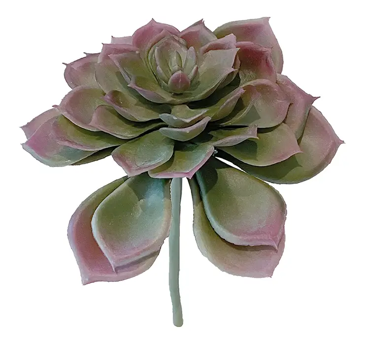 Sukkulent echeveria på stilk kunstig plante af plast i grøn 17cm