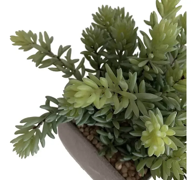 Kunstig sukkulent plante af plast i firkantet krukke closeup