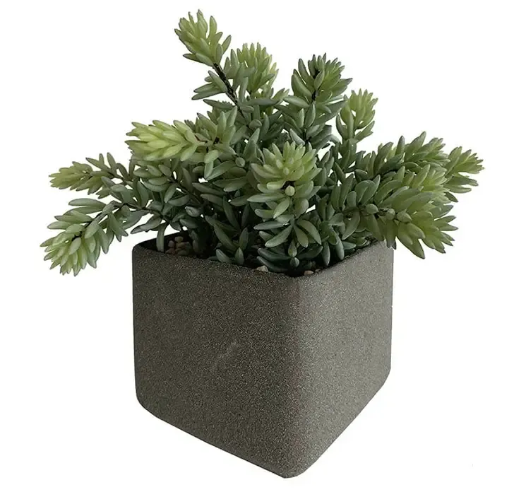 Kunstig sukkulent plante af plast i firkantet krukke