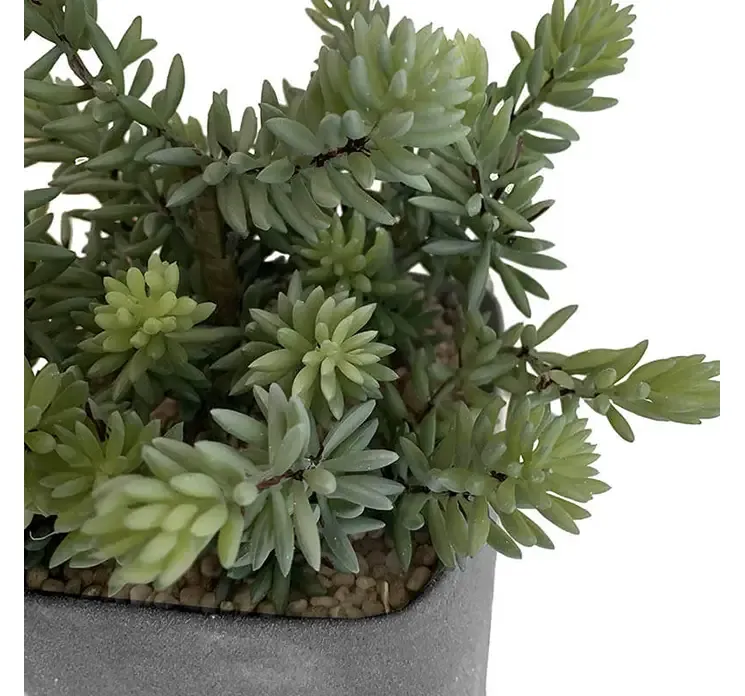 Kunstig sukkulent plante af plast i firkantet krukke closeup