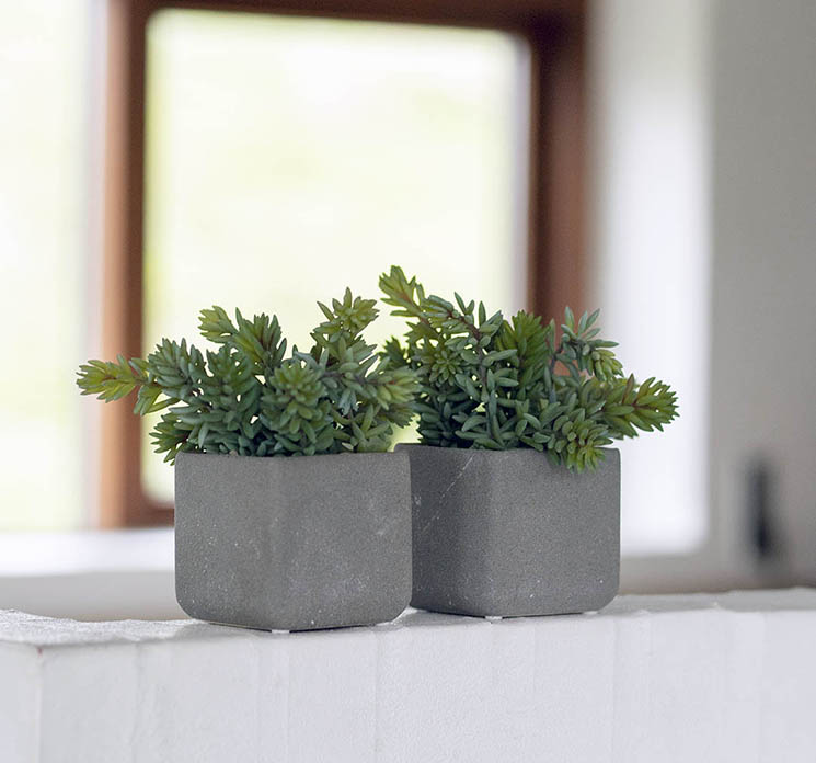 Kunstig sukkulent plante af plast i firkantet krukke vist i stuemiljø