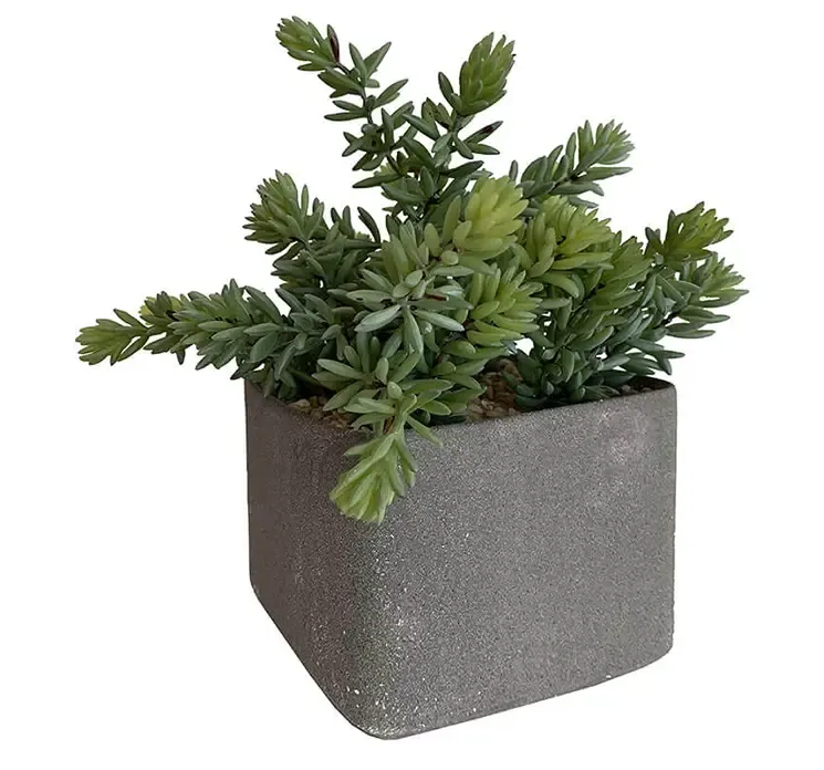 Kunstig sukkulent plante af plast i firkantet krukke