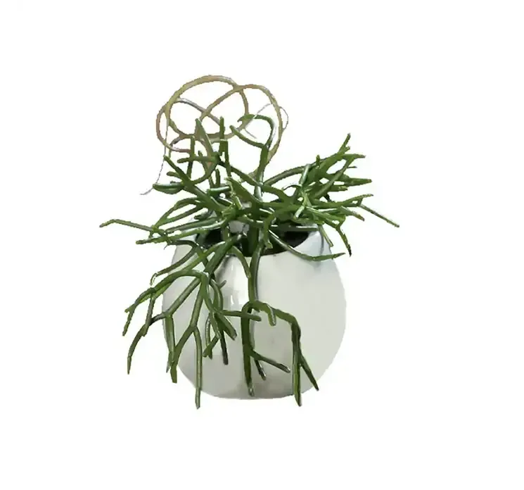 Kunstig sukkulent i keramik potte med ophæng