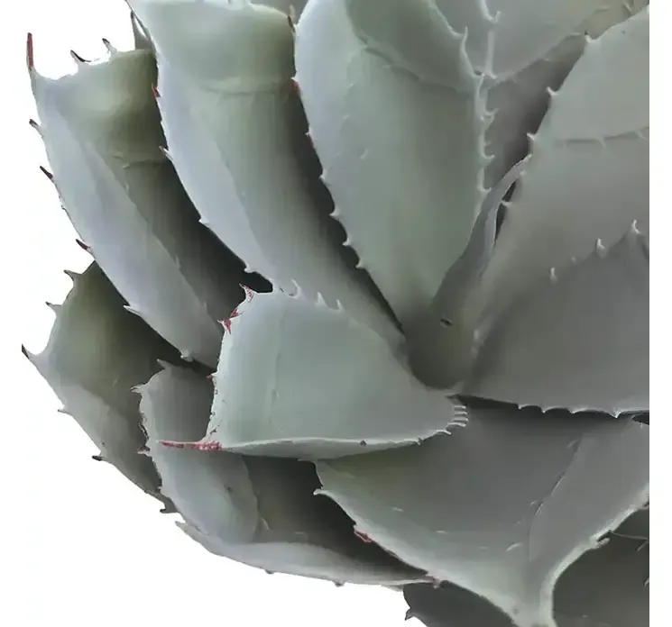 Kunstig sukkulent i potte af plast closeup af plante