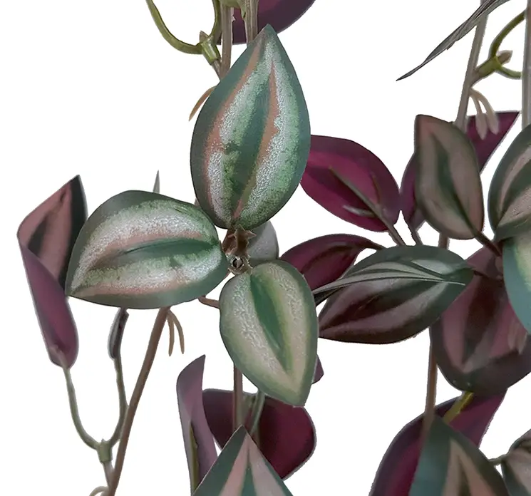 Tradescantia kunstig hængeplante af plast i grøn og bordeaux farvet 85cm closeup