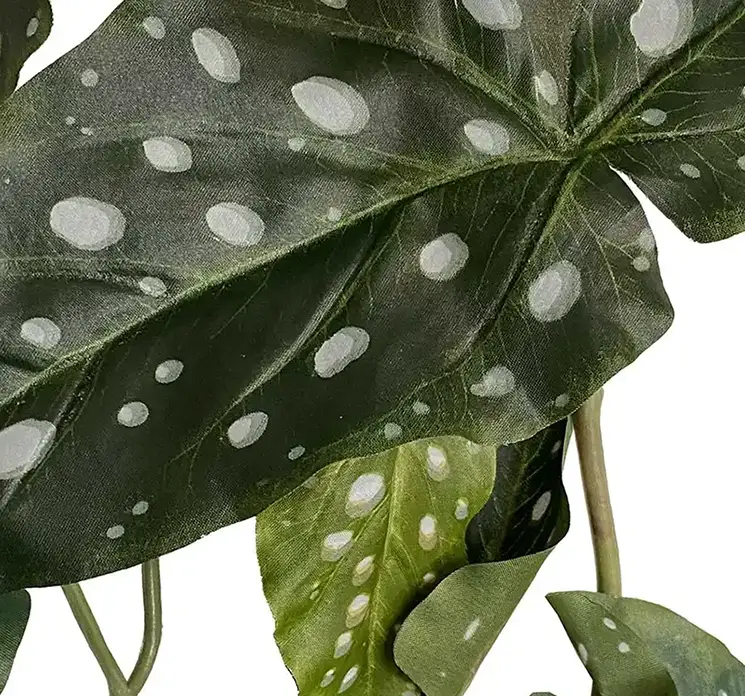 Begonia maculata kunstig plante hænger af plast i grøn 120cm closeup