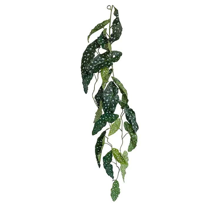 Begonia maculata kunstig plante hænger af plast i grøn 120cm