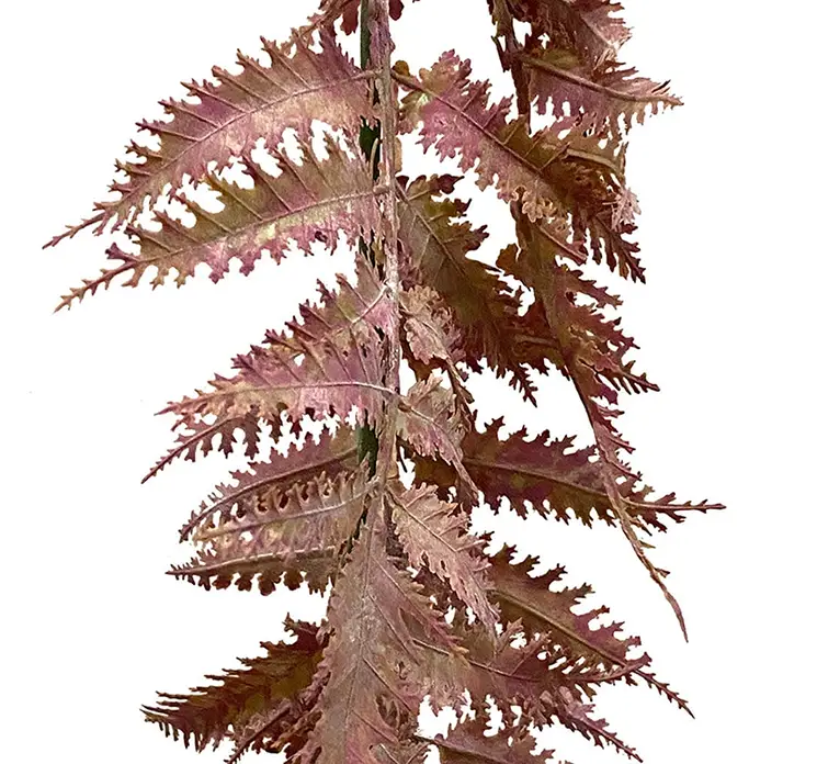 Bregne ranke kunstig af plast i rød closeup